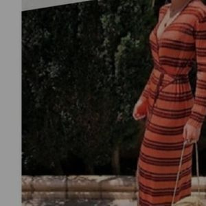 Zara Metallic Chevron Maxi